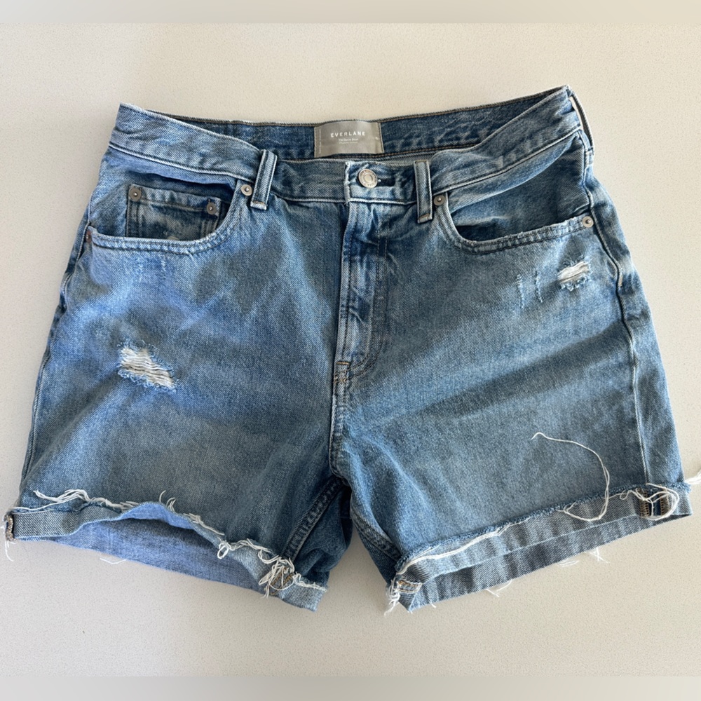 Everlane Distressed Denim Shorts